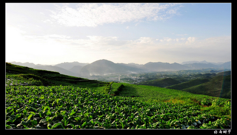 DSC_3890_conew1.JPG
