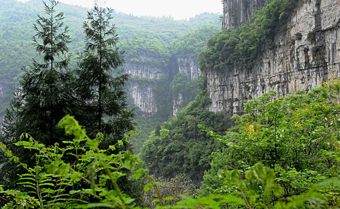 麻湾洞峡谷——记走遍正安第二十四期插图7