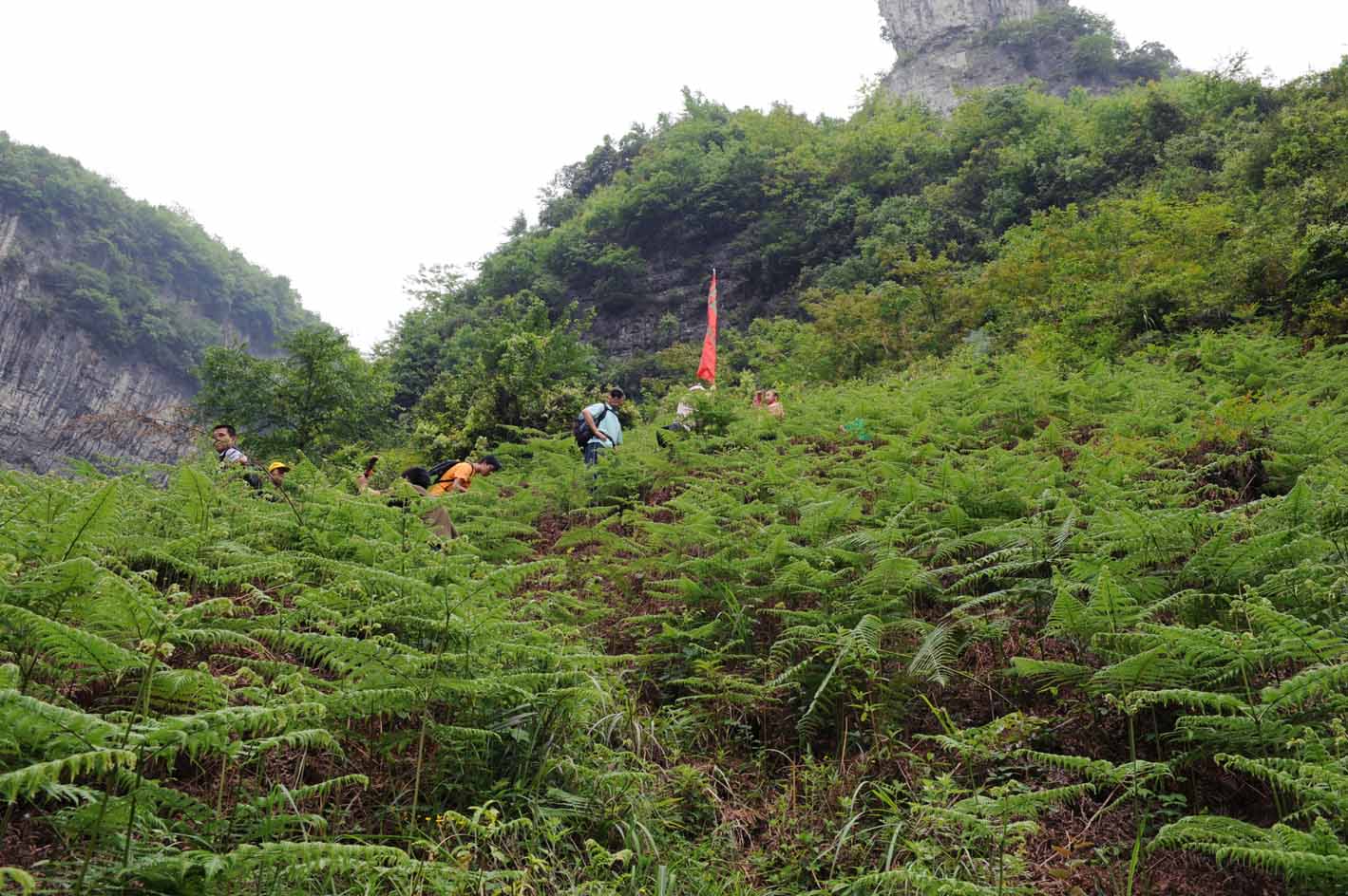 麻湾洞峡谷——记走遍正安第二十四期插图10