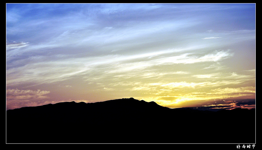 DSC_3991_conew1.JPG