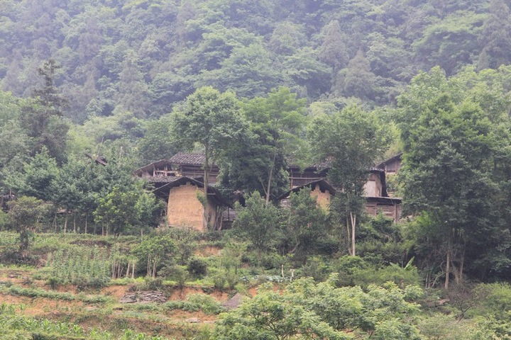福庆教学点：拷问西部农村基础教育插图6