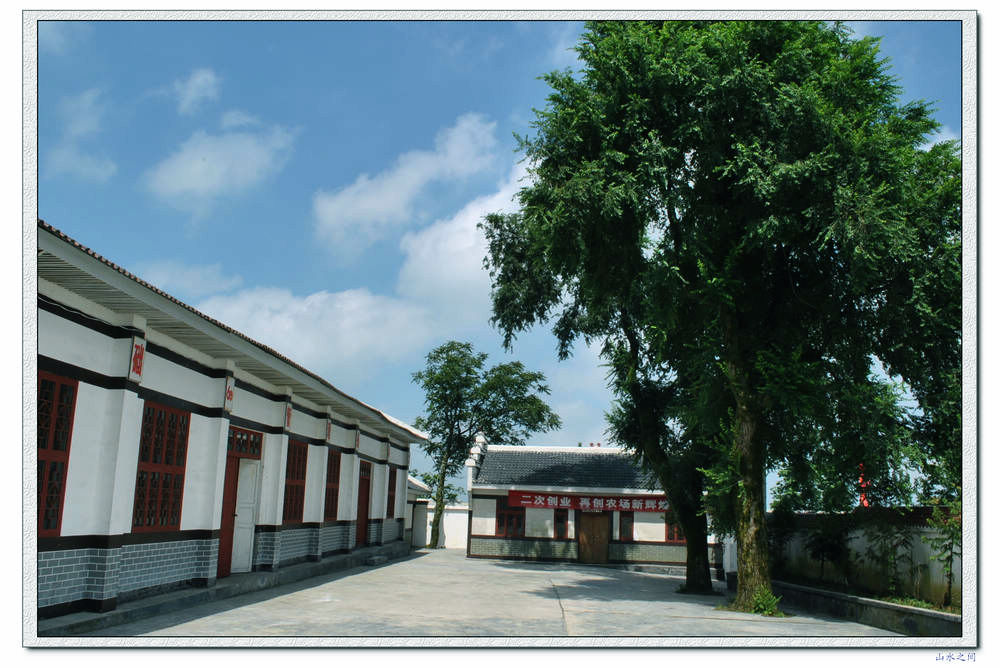 上坝茶场005.jpg