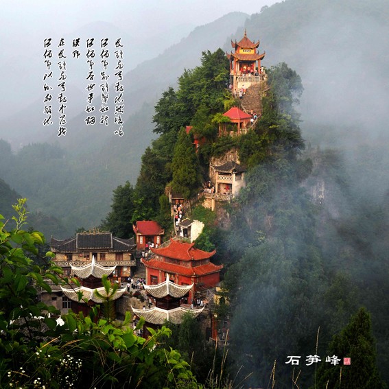 唐定刚摄影作品几幅插图5