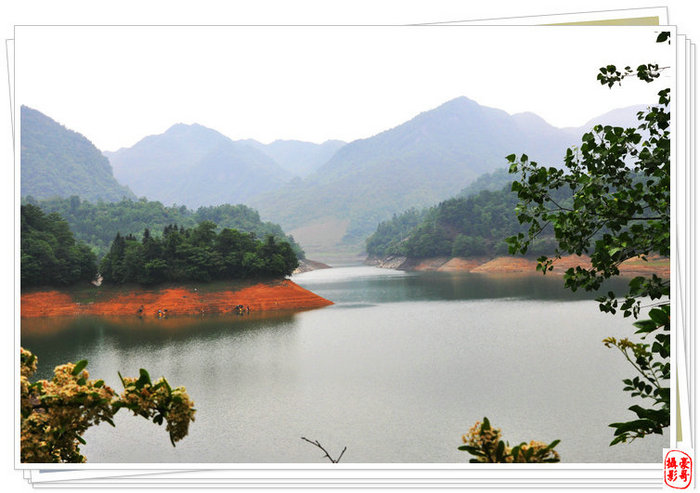 桴焉茶场，五汇水库风光插图9