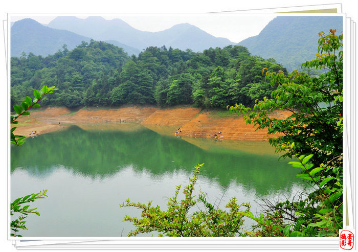 桴焉茶场，五汇水库风光插图8