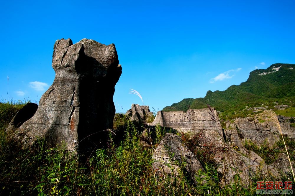 土坪镇华尔山石林风光插图10