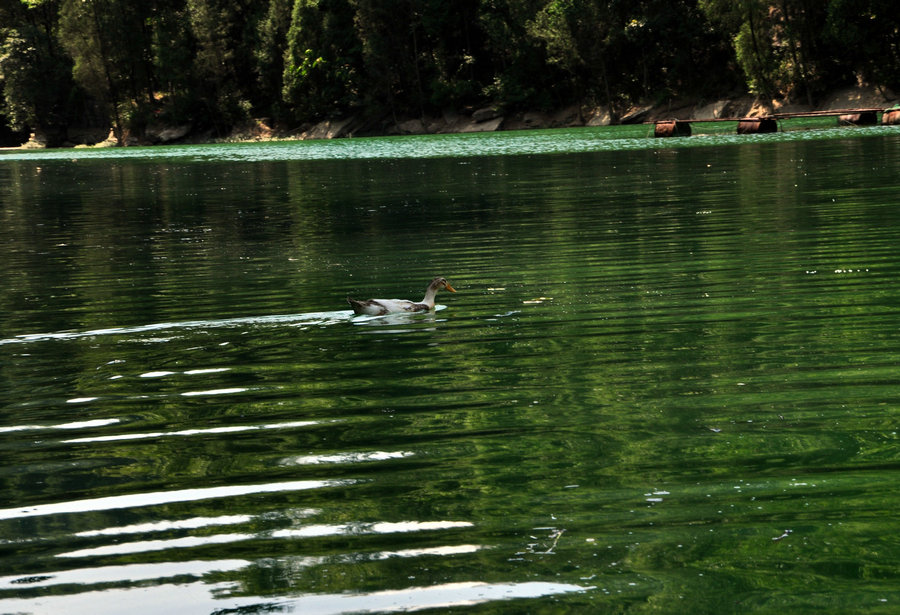 DSC_3667.JPG
