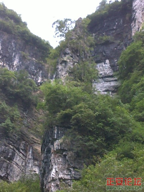 杨柳溪风光插图6