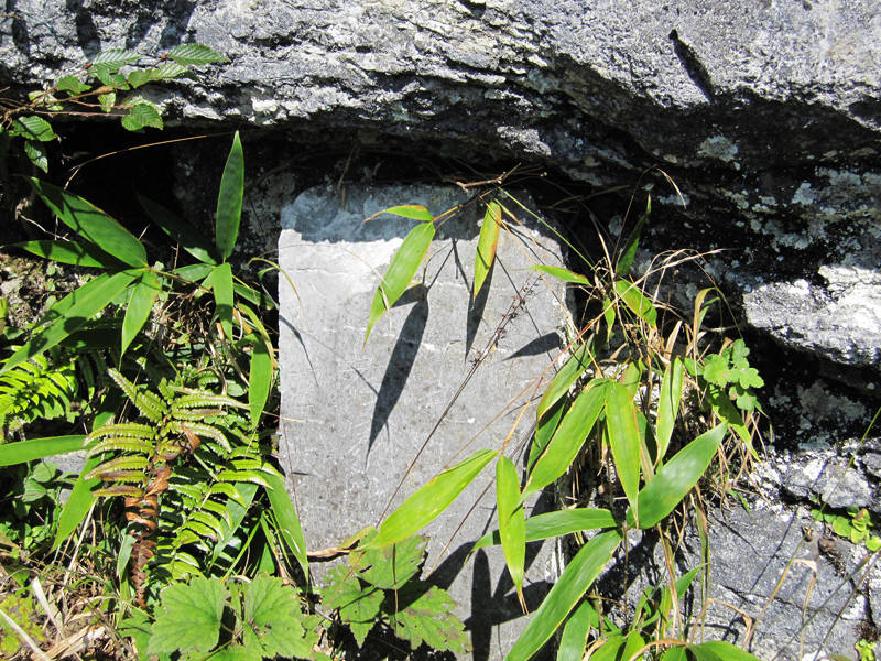 顶箐山风景独好，务本堂神韵依然——走遍正安活动第二十一期纪行插图76