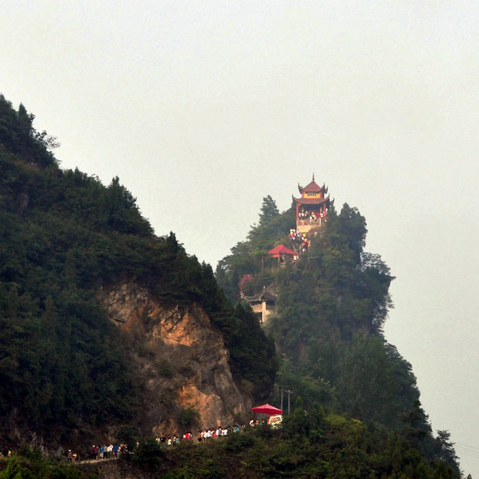 DSC_1003.JPG