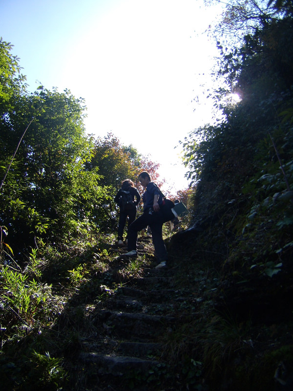 顶箐山风景独好，务本堂神韵依然——走遍正安活动第二十一期纪行插图85
