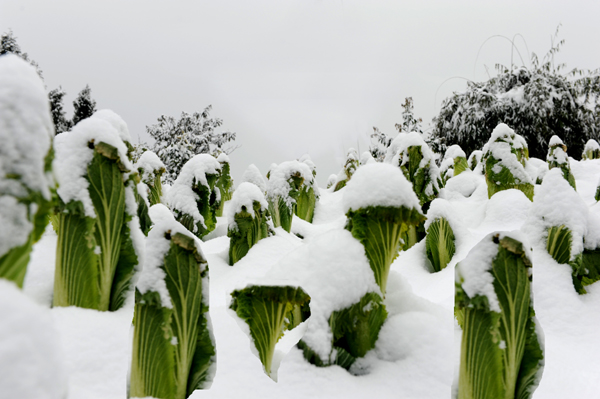 正安雪景插图6