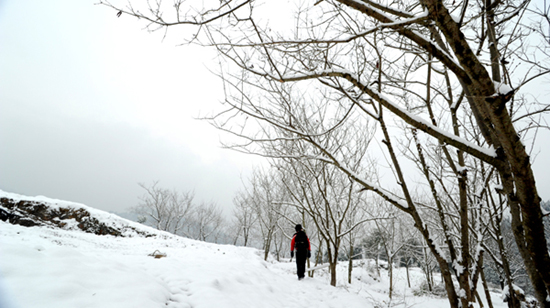 正安雪景插图5