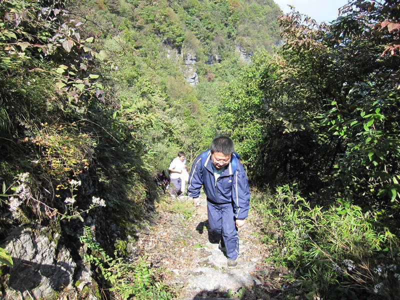 顶箐山风景独好，务本堂神韵依然——走遍正安活动第二十一期纪行插图86