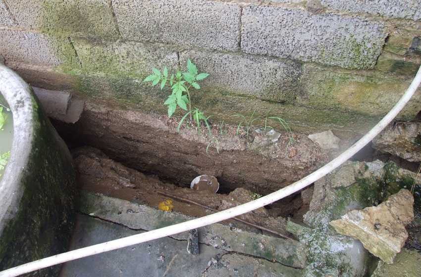 DSCF3579.jpg