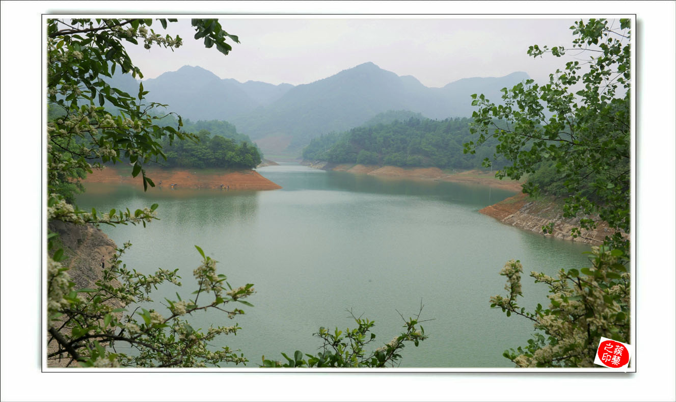 桴焉茶场，五汇水库风光插图4