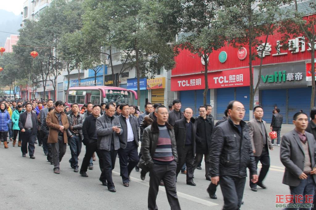 金蛇狂舞  古凤腾飞插图8