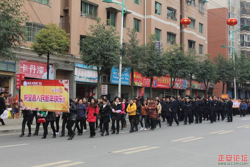 金蛇狂舞  古凤腾飞插图6