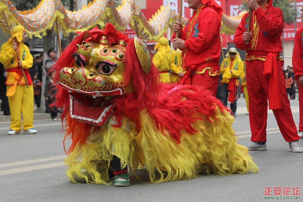 金蛇狂舞  古凤腾飞插图5