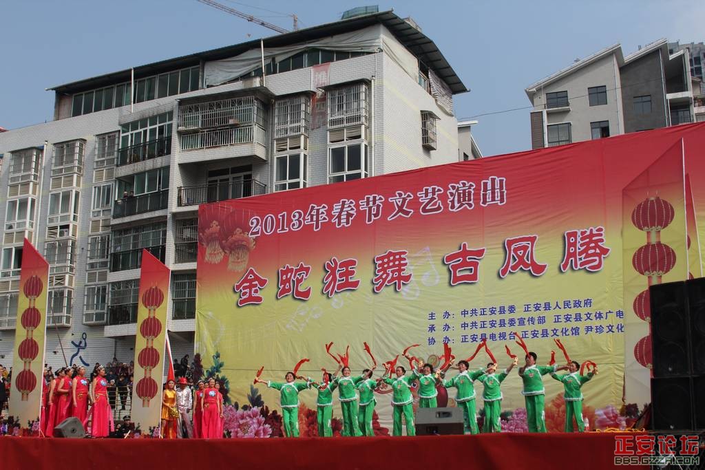 金蛇狂舞  古凤腾飞插图1