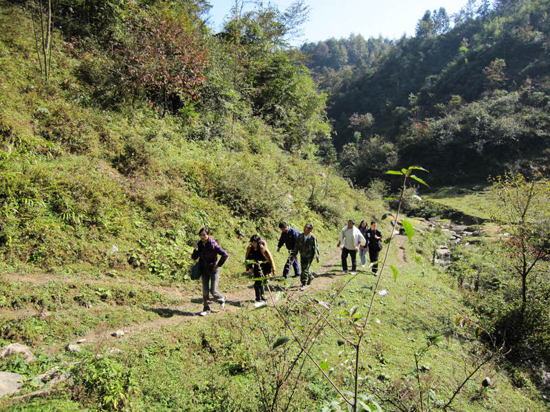 顶箐山风景独好，务本堂神韵依然——走遍正安活动第二十一期纪行插图31