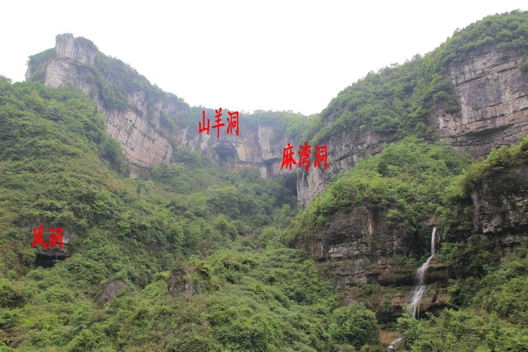 麻湾洞峡谷——记走遍正安第二十四期插图39