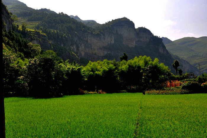 DSC_4255.JPG