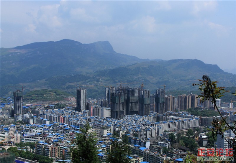 城东片区.jpg
