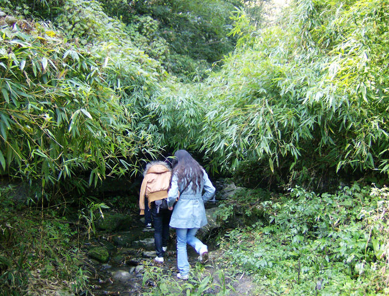 顶箐山风景独好，务本堂神韵依然——走遍正安活动第二十一期纪行插图36