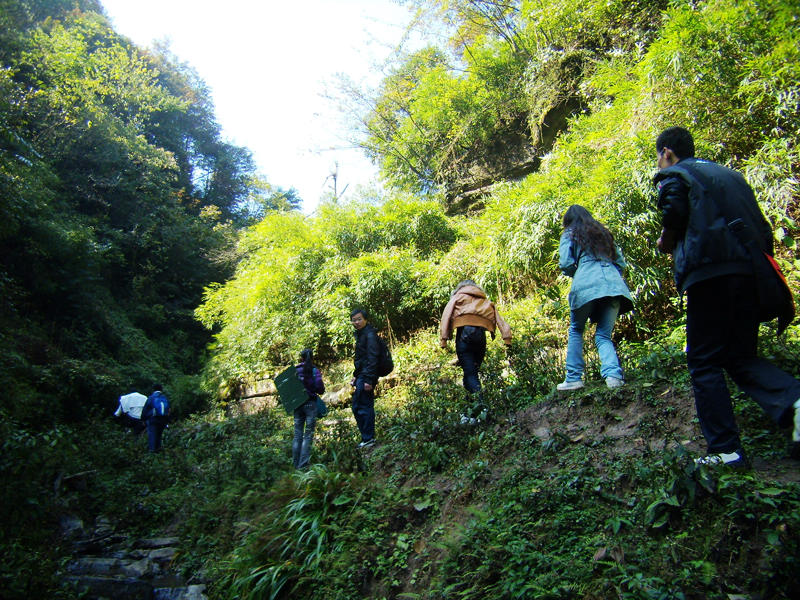 顶箐山风景独好，务本堂神韵依然——走遍正安活动第二十一期纪行插图34