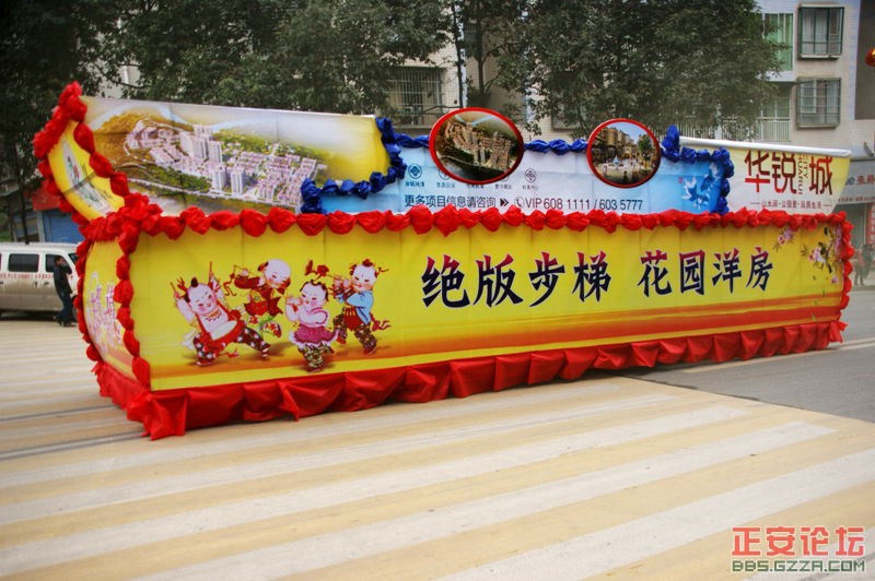 金蛇狂舞  古凤腾飞插图14