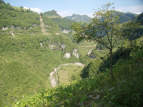 PA040008.jpg