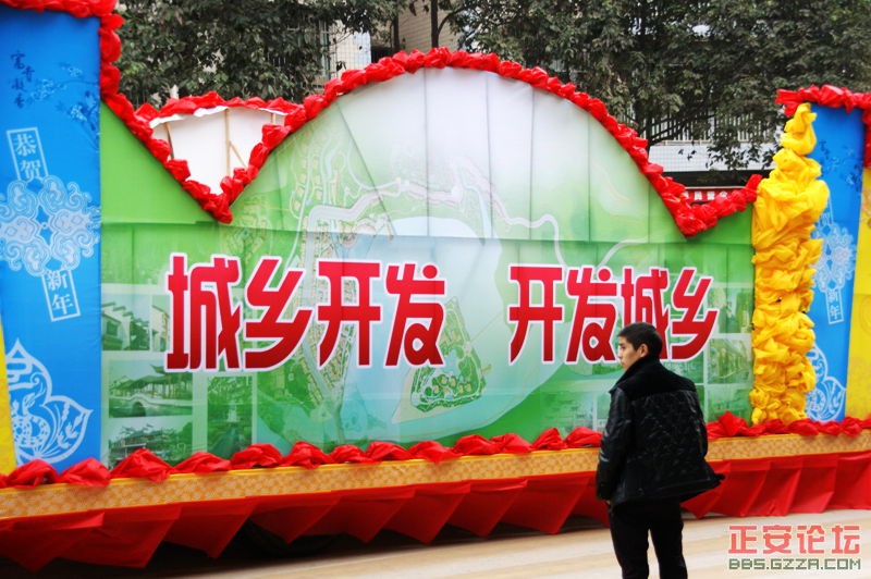 金蛇狂舞  古凤腾飞插图15