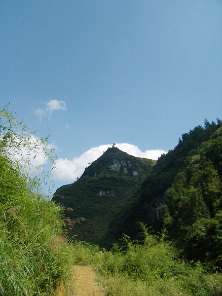 桴焉红岩花开——记“走遍正安”活动第十九期插图21