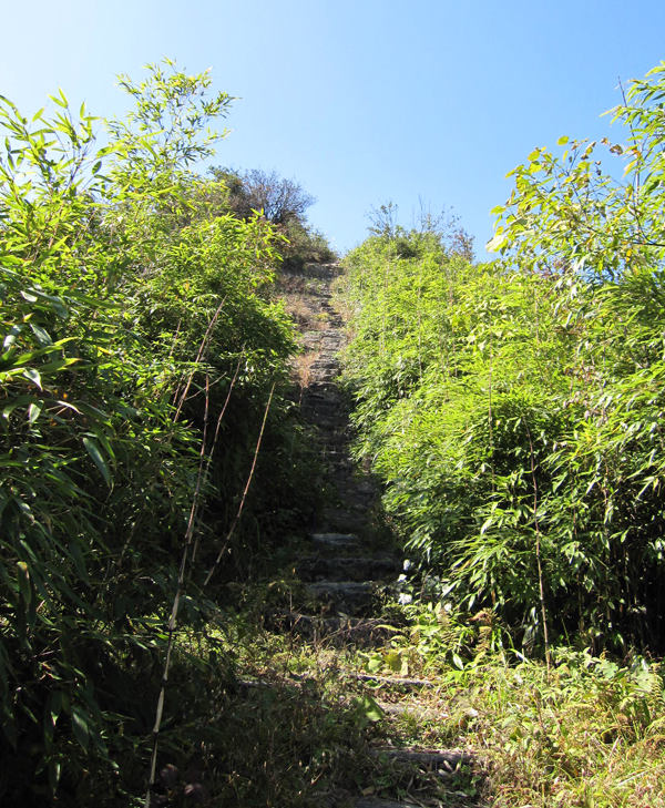 顶箐山风景独好，务本堂神韵依然——走遍正安活动第二十一期纪行插图88