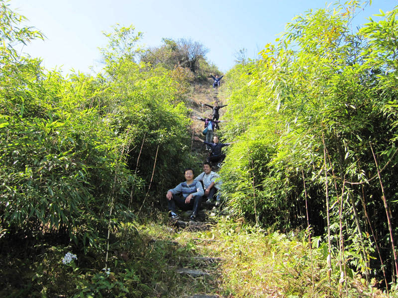 顶箐山风景独好，务本堂神韵依然——走遍正安活动第二十一期纪行插图89