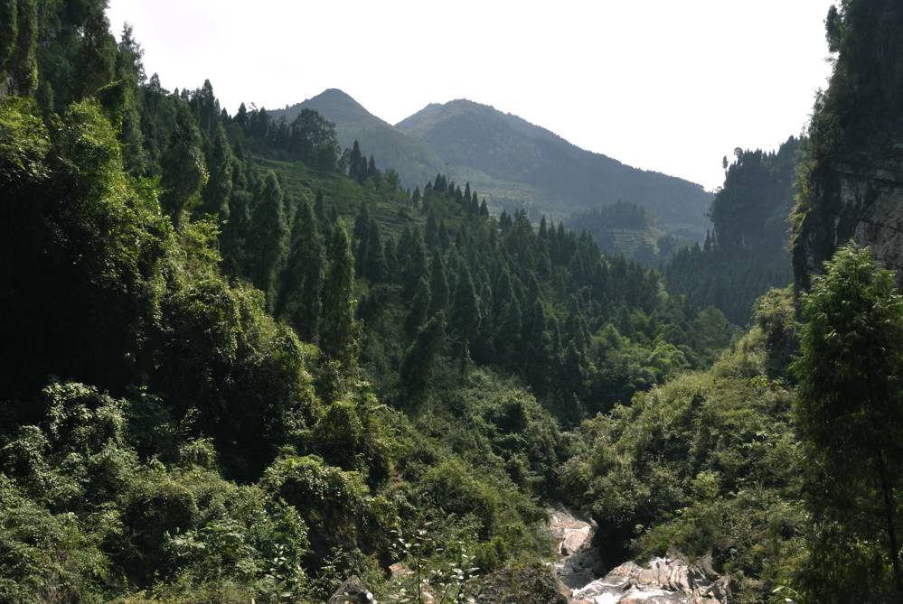 重阳节桑坝之行006.jpg