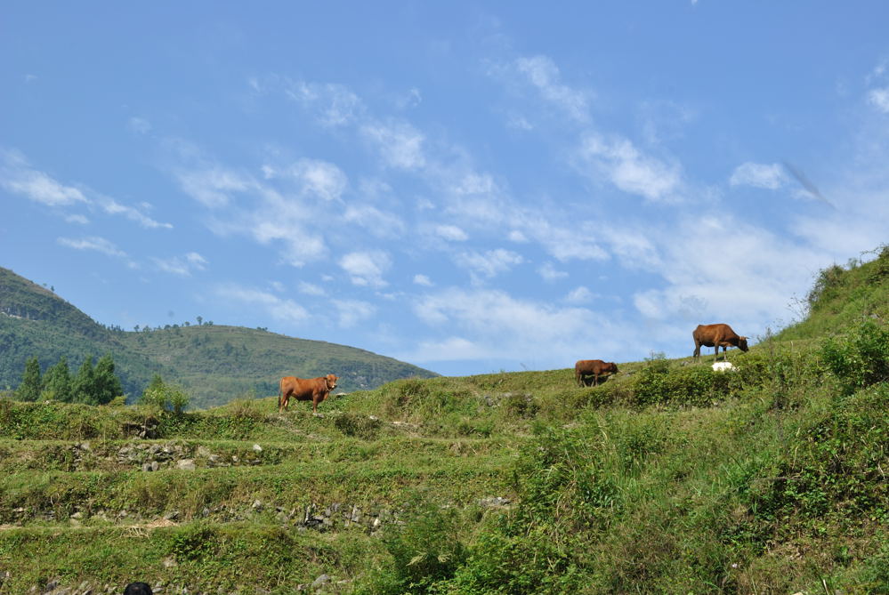 重阳节桑坝之行008.jpg