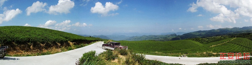 上坝老知青茶场随拍（全景篇）插图1