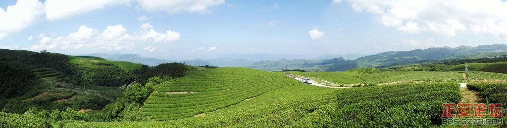 上坝老知青茶场随拍（全景篇）插图2