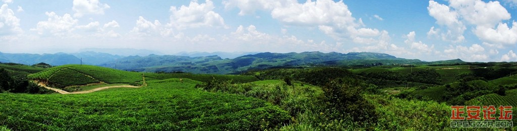 上坝老知青茶场随拍（全景篇）插图4