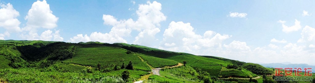 上坝老知青茶场随拍（全景篇）插图5