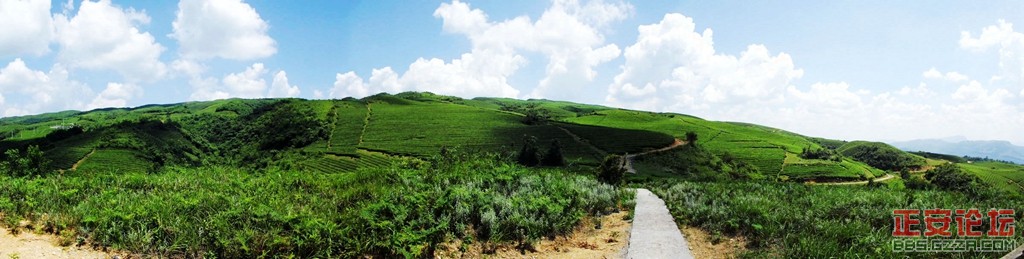上坝老知青茶场随拍（全景篇）插图6
