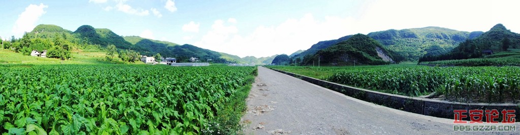 上坝老知青茶场随拍（全景篇）插图7