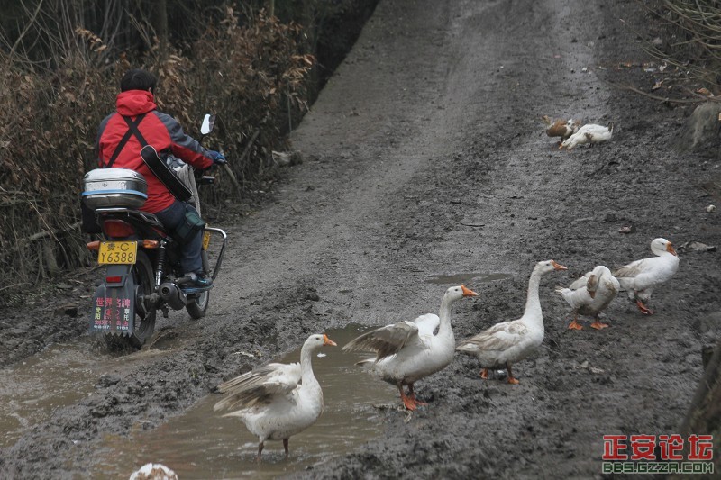 烂路.jpg