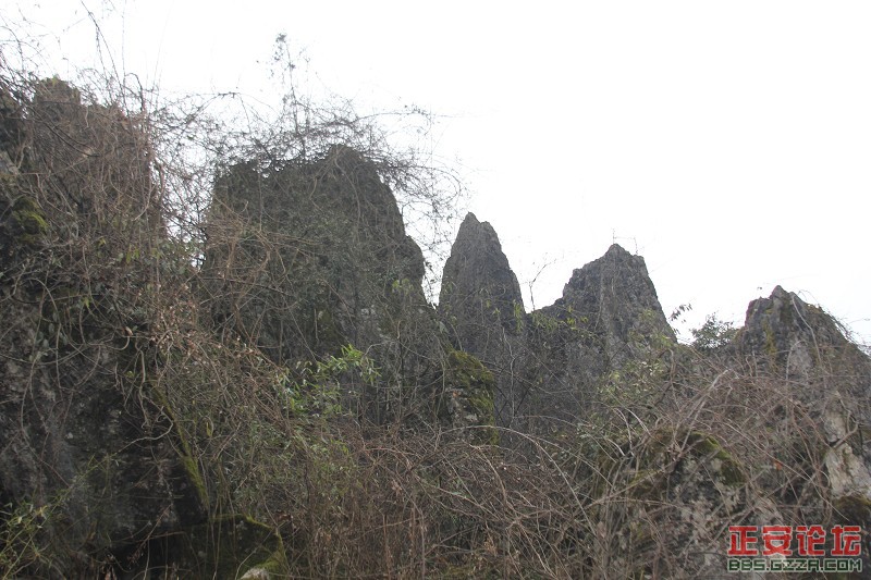 木耳小石林2.jpg