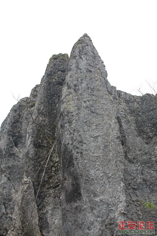 木耳小石林5.jpg