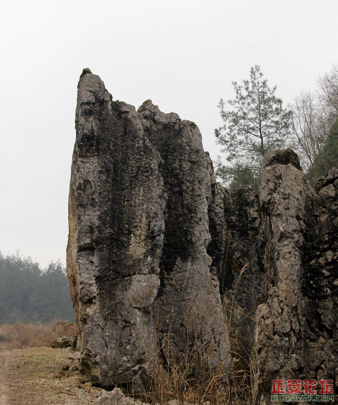 木耳小石林6.jpg