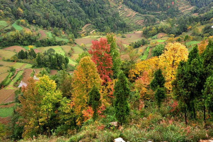 DSC_6796.JPG