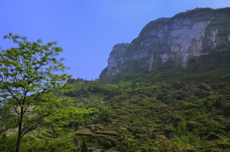 麻湾洞峡谷——记走遍正安第二十四期插图86